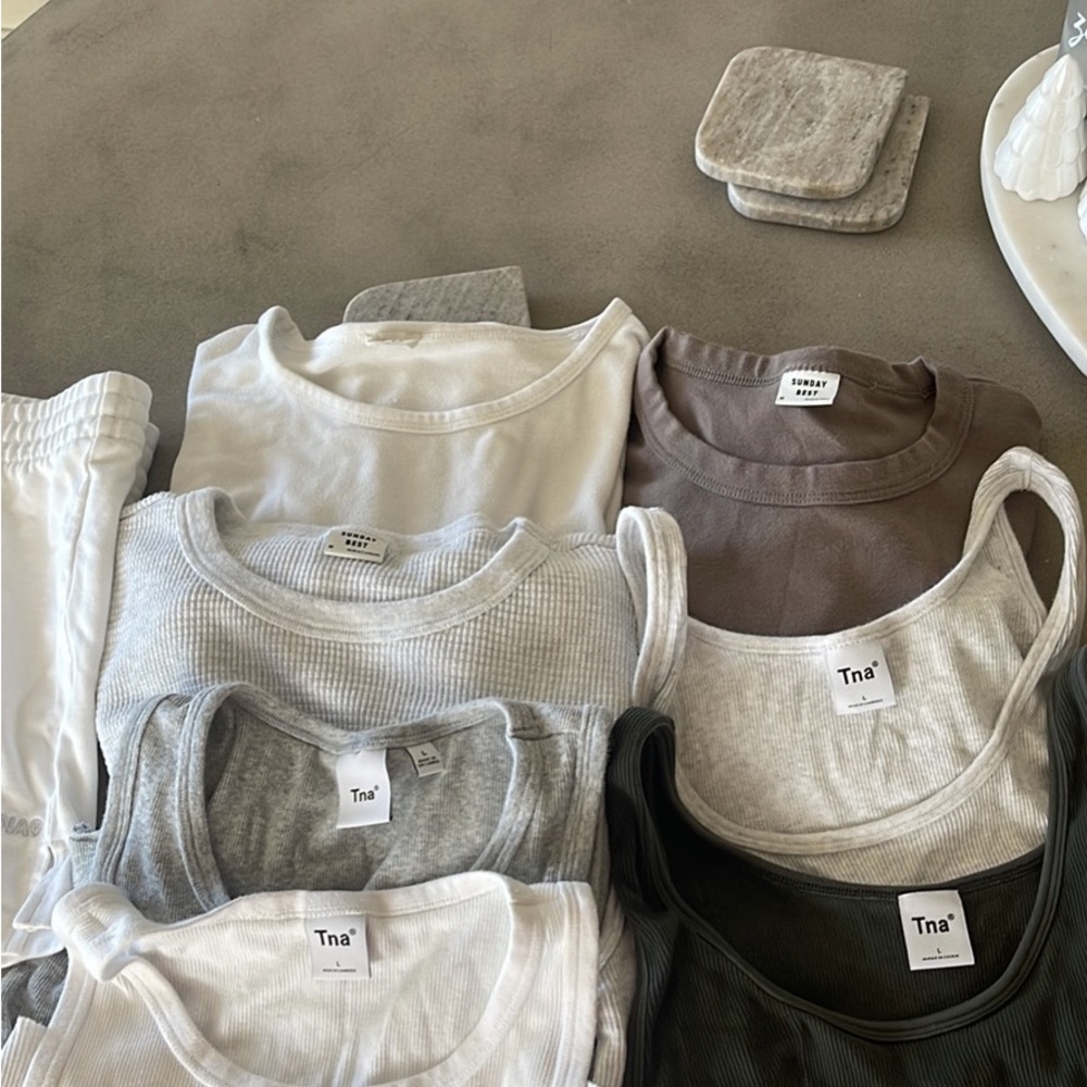 Aritzia Basics Bundle